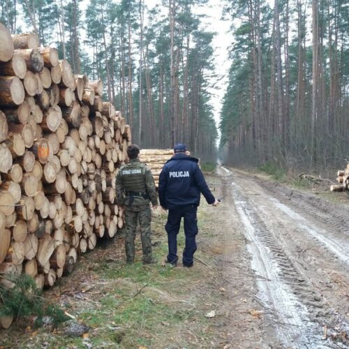 Trzech zatrzymanych za posiadanie narkotyków